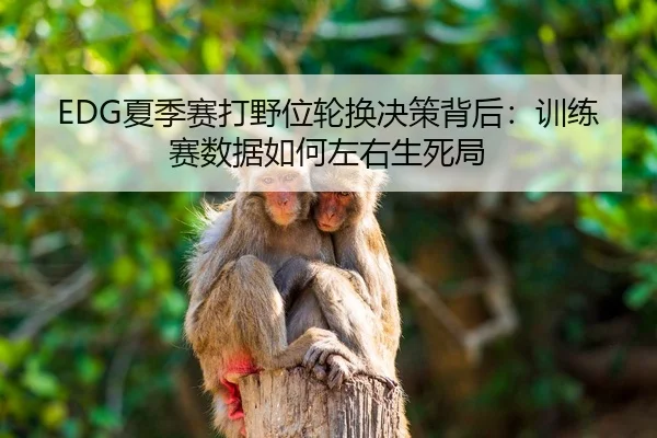 EDG夏季赛打野位轮换决策背后：训练赛数据如何左右生死局