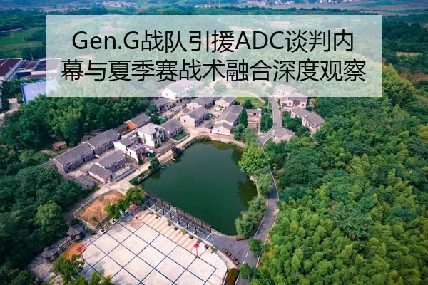 Gen.G战队引援ADC谈判内幕与夏季赛战术融合深度观察